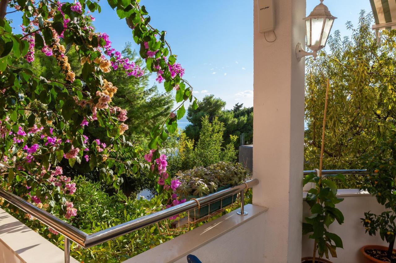 Villa Marko Stanici Εξωτερικό φωτογραφία
